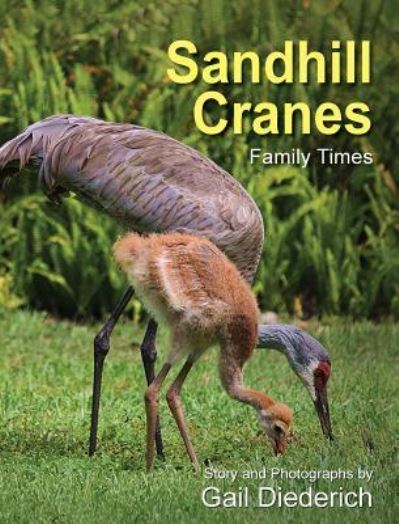 Cover for Gail Diederich · Sandhill Cranes, Family Times (Gebundenes Buch) (2016)