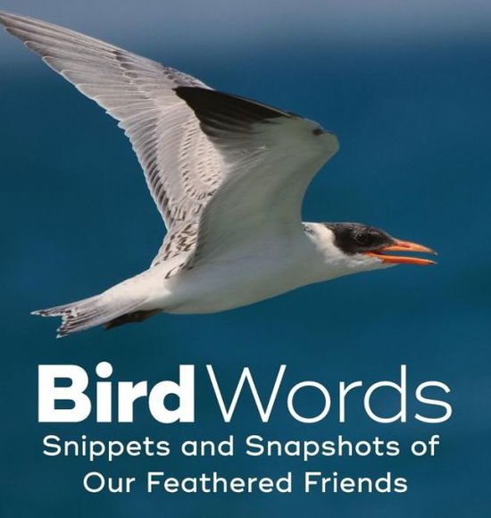 Cover for John Yunker · Bird Words Snippets and Snapshots of Our Feathered Friends (Hardcover Book) (2018)