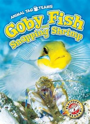 Cover for Kari Schuetz · Goby Fish and Snapping Shrimp (Hardcover Book) (2019)