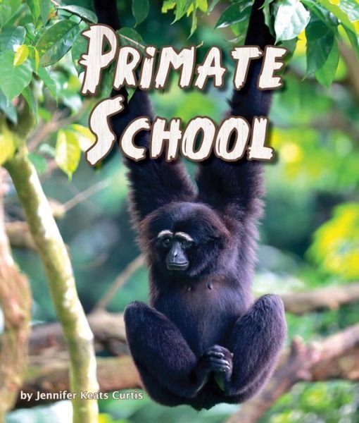 Cover for Jennifer Keats Curtis · Primate School (Hardcover Book) (2015)