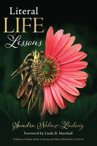 Cover for Sandra Nelms-Ludwig · Literal LIFE Lessons (Paperback Book) (2021)