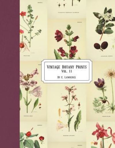 Cover for E. Lawrence · Vintage Botany Prints (Paperback Book) (2018)