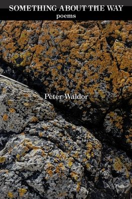 Cover for Peter Waldor · Something About the Way (Paperback Book) (2020)