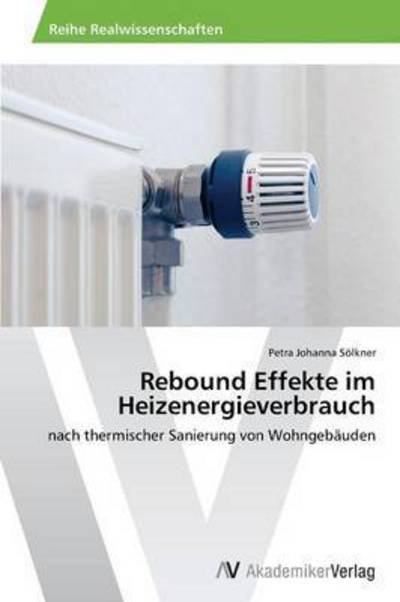 Rebound Effekte Im Heizenergieverbrauch - Solkner Petra Johanna - Books - AV Akademikerverlag - 9783639399554 - April 16, 2012
