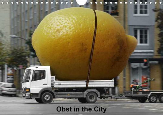 Cover for Grünberg · Obst in the City (Wandkalender (Book)