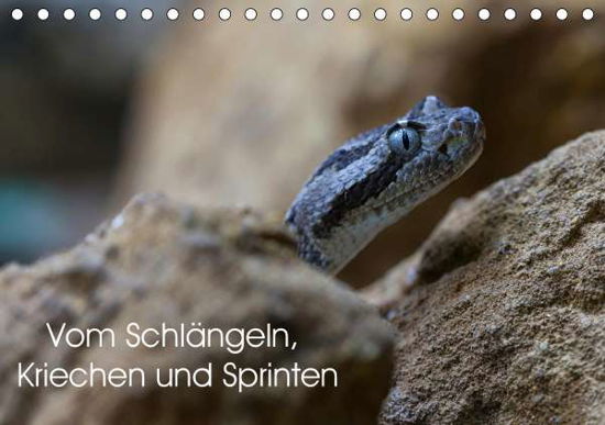Cover for Krieger · Vom Schlängeln, Kriechen und Sp (Book)