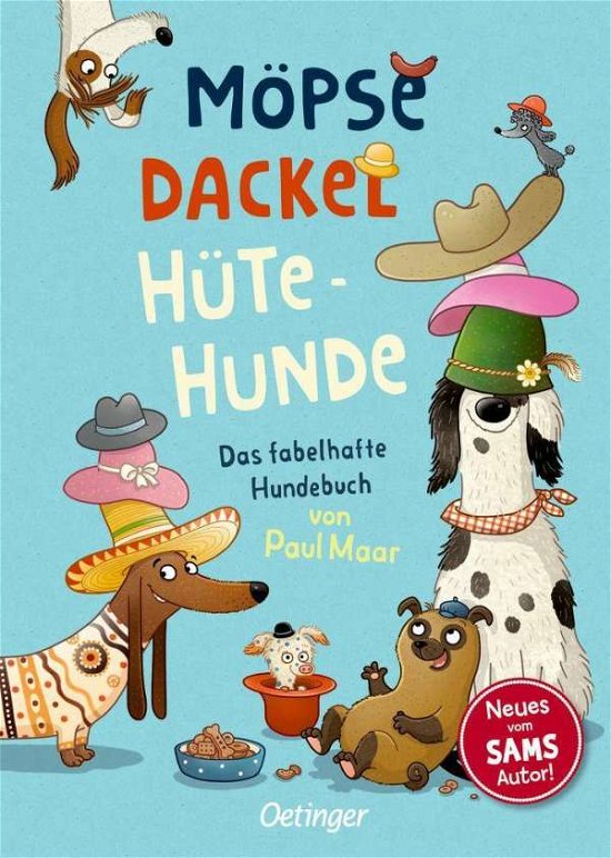 Cover for Maar · Möpse, Dackel, Hütehunde (Buch)