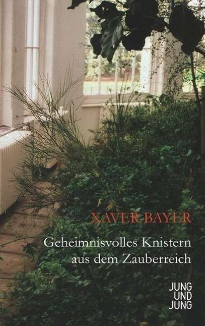 Cover for Bayer · Bayer:geheimnisvolles Knistern (Book)