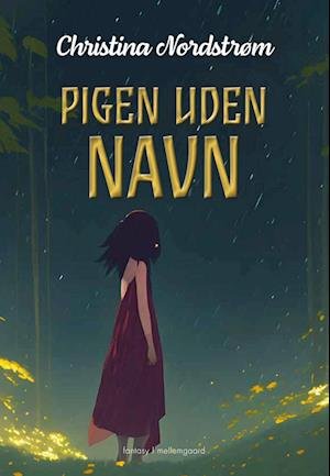 Cover for Christina Nordstrøm · Pigen uden navn (Sewn Spine Book) [1º edição] (2023)