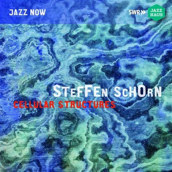 Cover for Steffen Schorn Ens / Njm Octet · Schorn: Cellular Structures (CD) (2018)