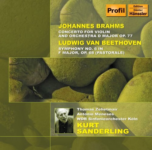 Cover for Beethoven / Brahms / Zehetmair / Meneses · Symphony 6: Concerto for Violin Cello &amp; Orchestra (CD) (2007)