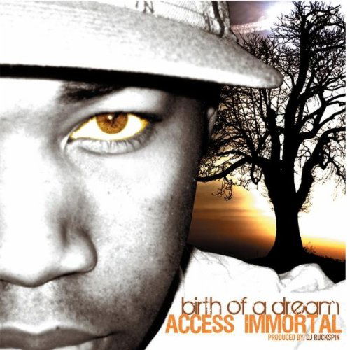 Cover for Access Immortal · Birth of a Dream (CD) (2010)