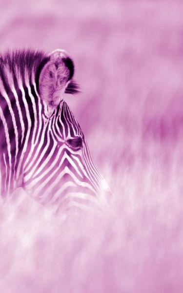 Cover for Eva-Lotta Jansson · Alive! zebra stripes - Magenta duotone - Photo Art Notebooks (Paperback Book) (2015)