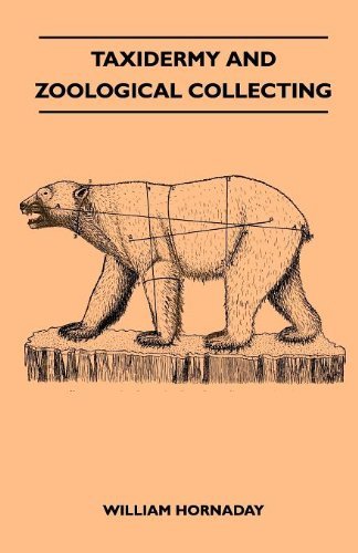 Cover for William Hornaday · Taxidermy and Zoological Collecting - a Complete Handbook for the Amateur Taxidermist, Collector, Osteologist, Museum-builder, Sportsman and Travellers (Paperback Book) (2010)