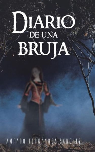Cover for Amparo Fernandez Sanchez · Diario De Una Bruja (Hardcover bog) [Spanish edition] (2013)