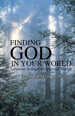 Cover for David  M. Durst · Finding God in Your World (Paperback Book) (2017)