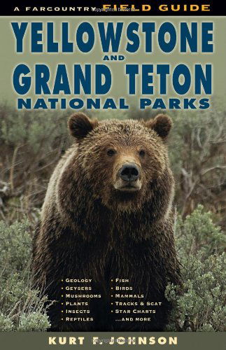 Cover for Kurt F. Johnson · A Field Guide to Yellowstone and Grand Teton National Parks (Paperback Book) (2013)