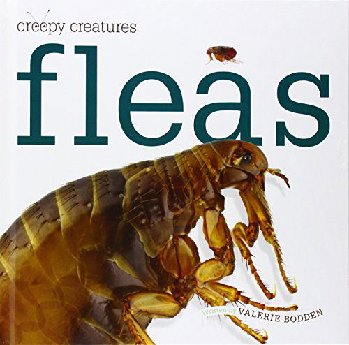 Fleas (Creepy Creatures (Creative Education)) - Valerie Bodden - Books - Creative Education - 9781608183555 - 2014