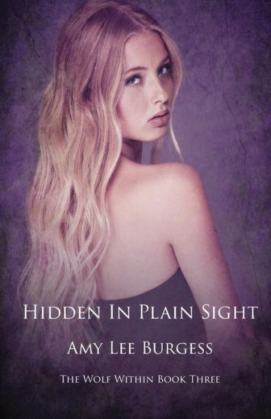 Cover for Amy Lee Burgess · Hidden in Plain Sight (Paperback Book) (2012)