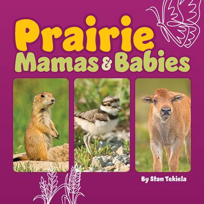 Prairie Mamas and Babies - Mamas and Babies - Stan Tekiela - Livros - Adventure Publications, Incorporated - 9781647553555 - 9 de maio de 2024