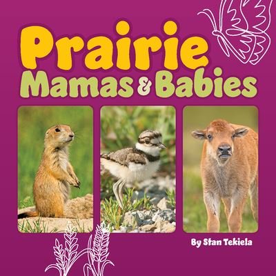 Cover for Stan Tekiela · Prairie Mamas and Babies - Mamas and Babies (Board book) (2024)