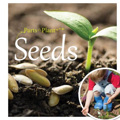 Seeds - Parts of a Plant - Gemma McMullen - Kirjat - BookLife Publishing - 9781801555555 - torstai 1. syyskuuta 2022