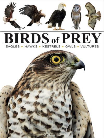 Cover for Tom Jackson · Birds of Prey - Mini Encyclopedias (Taschenbuch) (2024)