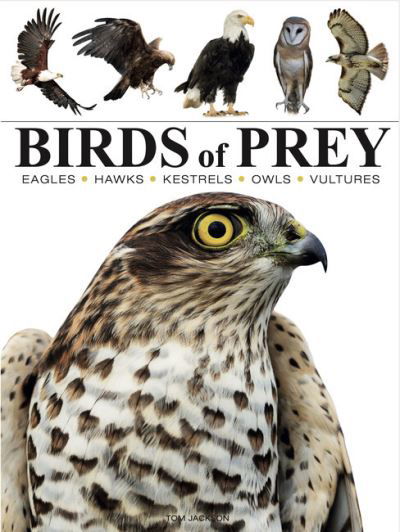 Cover for Tom Jackson · Birds of Prey - Mini Animals (Paperback Bog) (2024)