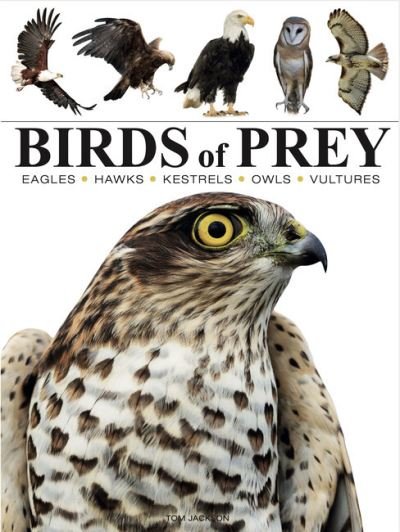 Birds of Prey - Mini Animals - Tom Jackson - Boeken - Amber Books Ltd - 9781838863555 - 14 april 2024