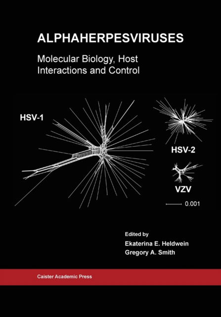 Cover for Ekaterina E. Heldwein · Alphaherpesviruses (Paperback Book) (2020)