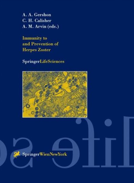 Cover for Anne Gershon · Immunity to and Prevention of Herpes Zoster - Archives of Virology. Supplementa (Paperback Book) [Softcover reprint of the original 1st ed. 2001 edition] (2001)