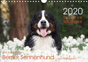 Cover for Brenner · Ein Jahr mit WAUZEBAER - Der be (Book)