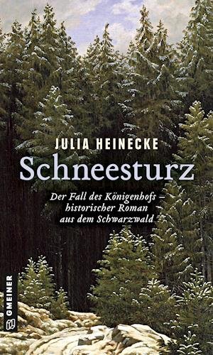 Cover for Heinecke · Schneesturz - Der Fall des Kön (Buch)