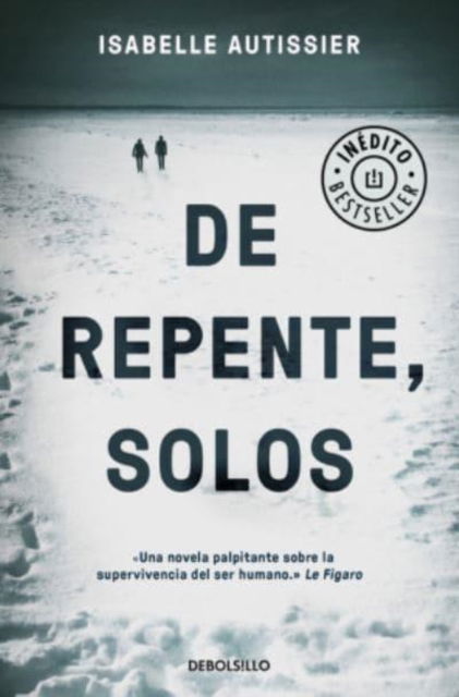 Cover for Isabelle Autissier · De repente solos (Paperback Book) (2017)