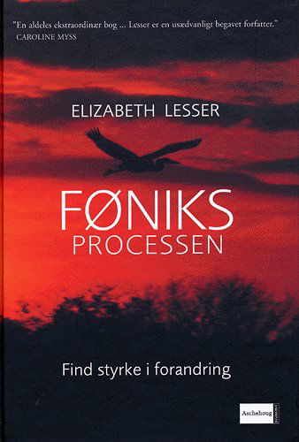 Cover for Elizabeth Lesser · Føniksprocessen (Book) [1st edition] (2005)