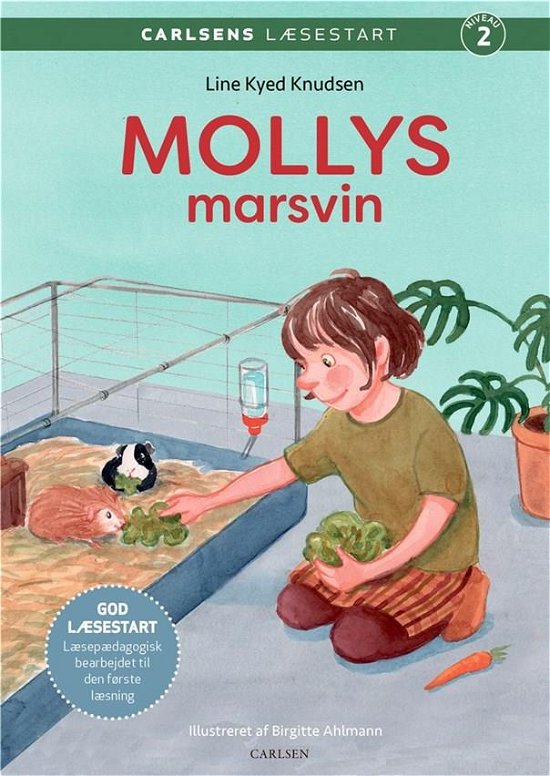Cover for Line Kyed Knudsen · Carlsens Læsestart: Carlsens Læsestart - Mollys marsvin (Bound Book) [1th edição] (2021)