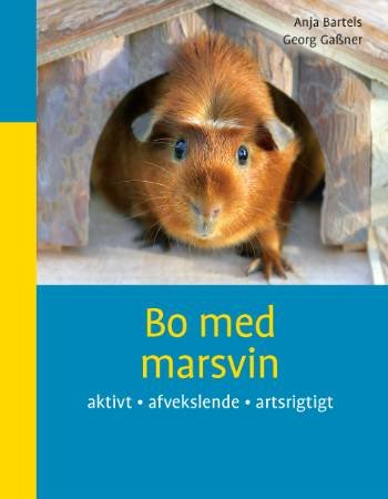 Cover for Anja Bartels¤Georg Gassner · Bo med marsvin (Hæftet bog) [1. udgave] (2008)