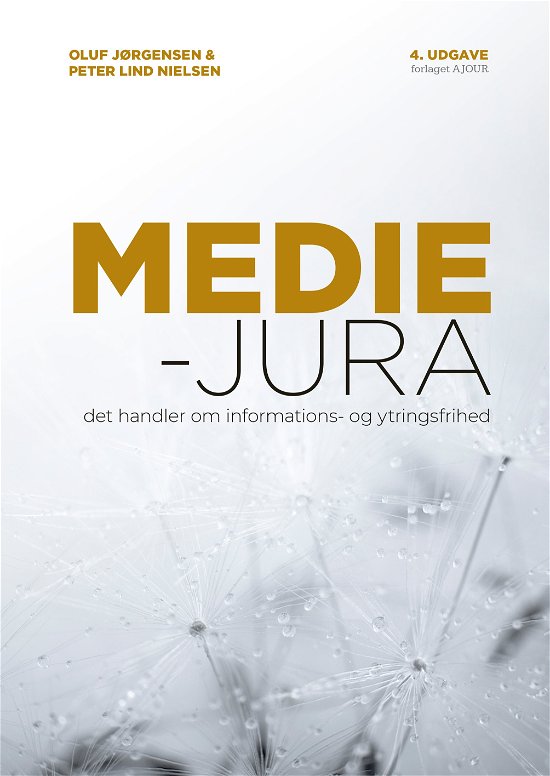 Cover for Oluf Jørgensen og Peter Lind Nielsen · Mediejura - (Bound Book) [4e édition] (2019)