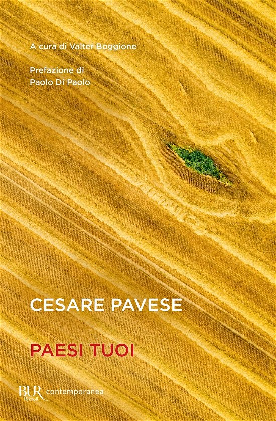 Cover for Cesare Pavese · Paesi Tuoi (DVD)