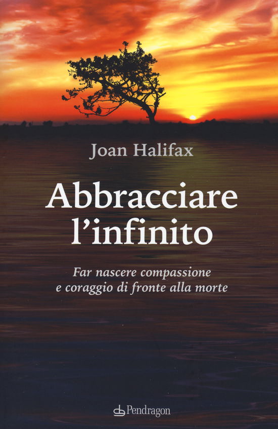 Cover for Joan Halifax · Abbracciare L'Infinito. Far Nascere Compassione E Coraggio Di Fronte Alla Morte (Buch)