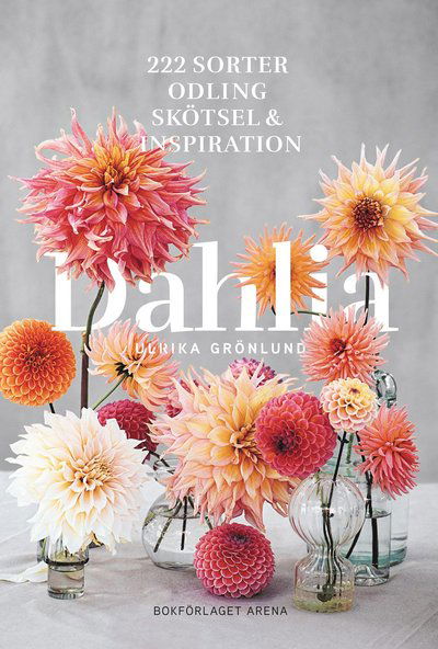 Dahlia : 222 sorter, odling, skötsel och inspiration - Ulrika Grönlund - Książki - Bokförlaget Arena - 9789178435555 - 15 marca 2022