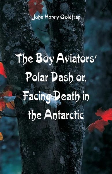 The Boy Aviators' Polar Dash - John Henry Goldfrap - Kirjat - Alpha Edition - 9789352972555 - perjantai 24. elokuuta 2018