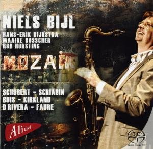Mozaiek - Niels Bijl - Musik - ALIUD - 8717775550556 - 3 september 2010