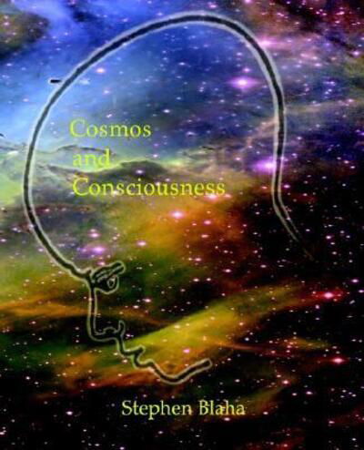 Cosmos and Consciousness - Stephen Blaha - Książki - Janus Associates Inc. - 9780972079556 - 18 lipca 2002