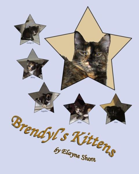 Cover for Elayne Shore · Brendyl's Kittens (Paperback Book) (2013)