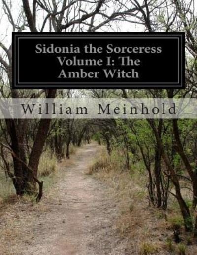 Cover for William Meinhold · Sidonia the Sorceress Volume I: the Amber Witch (Taschenbuch) (2014)