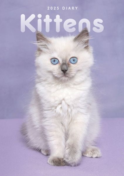 Cover for Carousel Calendars · Kittens A5 Diary 2025 (Paperback Book) (2024)