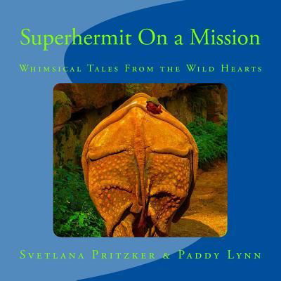 Cover for Paddy Lynn · Superhermit On a Mission (Paperback Book) (2016)