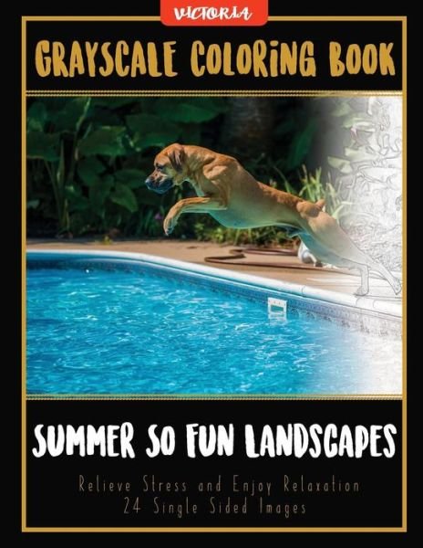 Cover for Victoria · Summer So Fun Landscapes (Paperback Book) (2017)