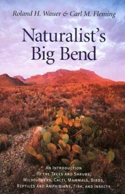 Cover for Roland H. Wauer · Naturalist's Big Bend: An Introduction to the Trees and Shrubs, Wildflowers, Cacti, Mammals, Birds, Reptiles and Amphibians, Fish and Insects - Louise Lindsey Merrick Natural Environment Series (Hardcover Book) [2 Revised edition] (2001)